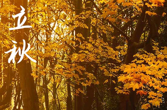 2024年立秋时间是什么时候 2024年8月7日立秋办丧事适合吗