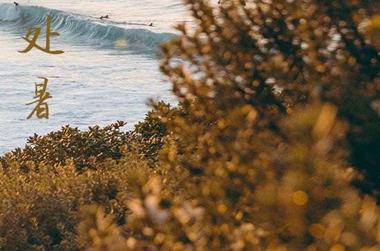 处暑2024年是几月几日星期几 2024年处暑认义女行吗 处暑2024年是几月几日星期几 2024年处暑认义女行吗