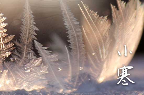 2024年小寒是几月几号