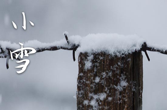 暖心小雪祝福语15篇