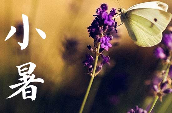 2023年小暑大暑是入伏吗