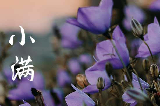 2024年小满节气是几点几分几秒 具体哪一天小满