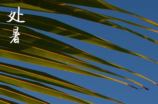 2024处暑是农历哪一天 2024年处暑这天日子怎样 2024处暑是农历哪一天 2024年处暑这天日子怎样