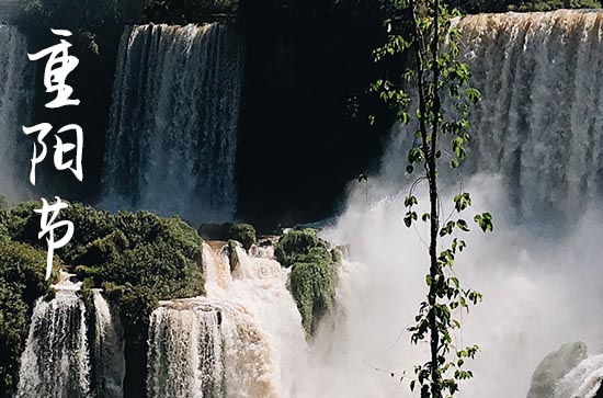 9月9日重阳节是什么意思,9.9重阳节是农历还是阳历