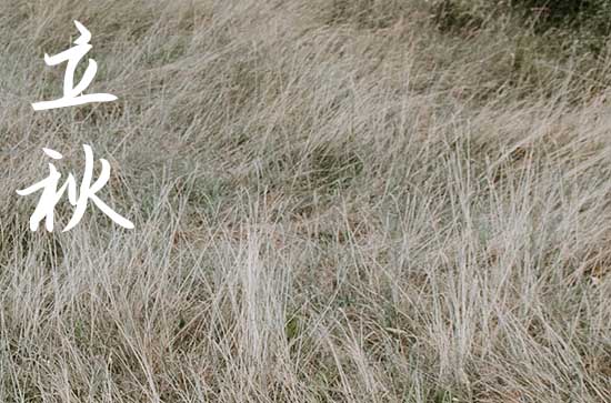 2024年立秋是什么时候时间 今天日子好不好