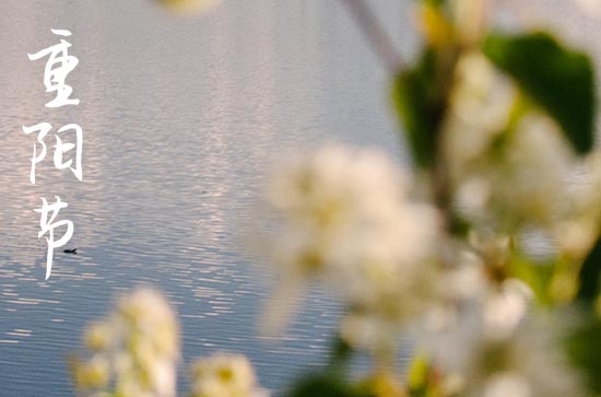 2023年重阳节几号