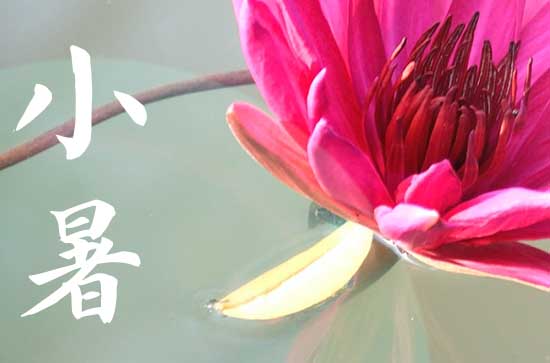 小暑是几月几号2024年 2024年7月6日小暑这天宜进货吗