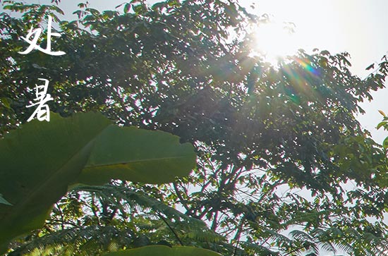 2024年处暑是什么时候 2024年8月22日处暑订盟适合吗