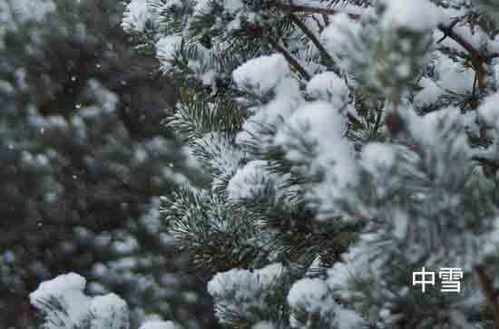 河北12月14日降雪持续明起降温明显局地超14℃ 沧州未来三天天气预报