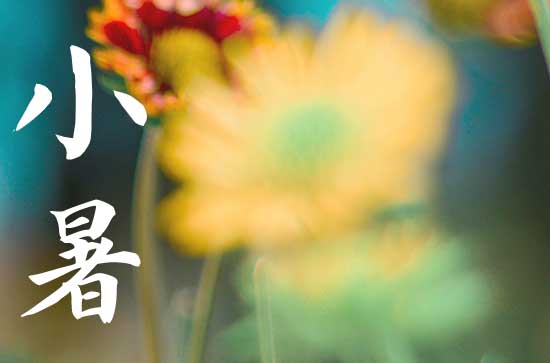 小暑2024年是几月几日星期几 2024年小暑弄修路可以吗