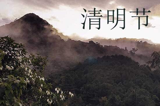 2024年清明后上坟有什么讲究 上坟时间要选对