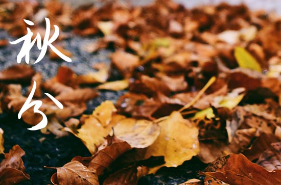 2024年秋分是星期几 2024年9月22日秋分这天宜养宠物吗