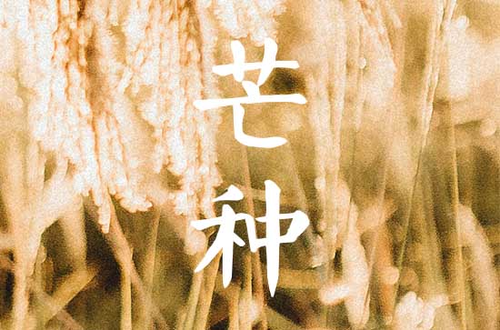 芒种的时间是几月几日 关于节气芒种的谚语