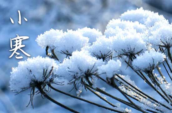 2024年小寒冷还是大寒冷 小寒是最冷的时候吗