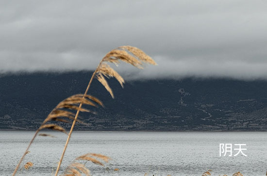 沧州今日天气如何 2024年8月11日日子好不好