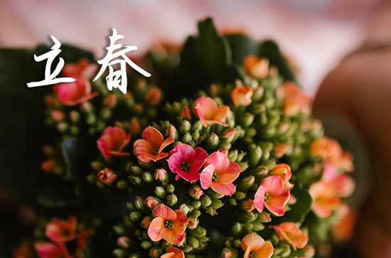 2024年立春时间好不好 打春习俗有哪些