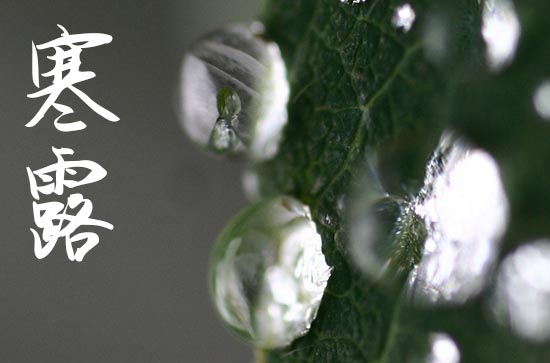 24气节2023送给父母寒露时节给微信祝福语3篇