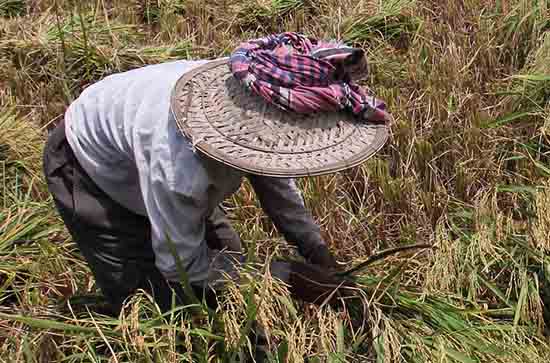 五一劳动节优美好句