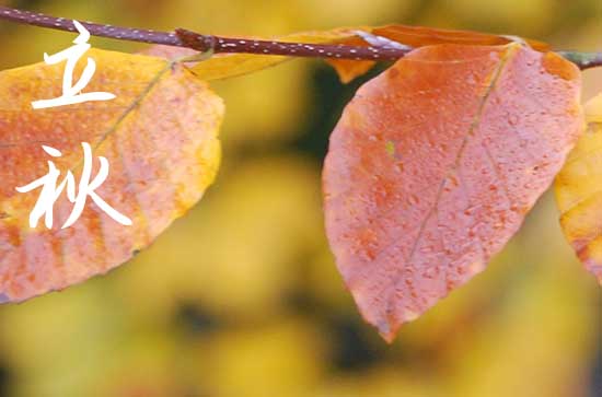 2024年立秋是几点几分几秒 2024年立秋房屋过户合适吗