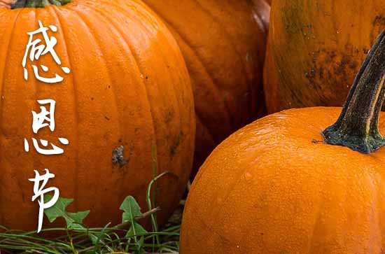 2024年感恩节多少号