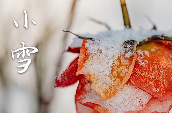 2023小雪节气发朋友圈的暖心文案 小雪暖心又好听的祝福语