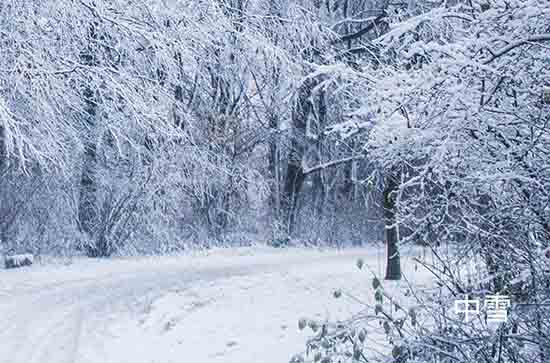 2023年武汉12月下雪吗 武汉2023年什么时候下雪