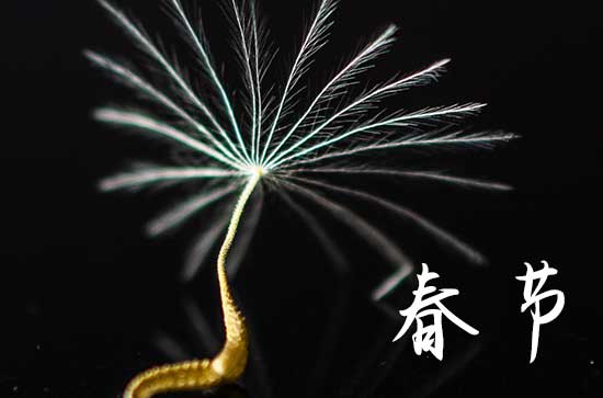 24年春节放假安排时间表