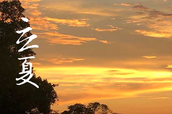 2024年农历几号立夏 2024年立夏可以补垣吗