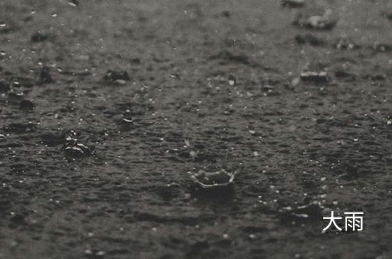 海口今日天气大雨转中雨 2024年11月4日海口天气预报