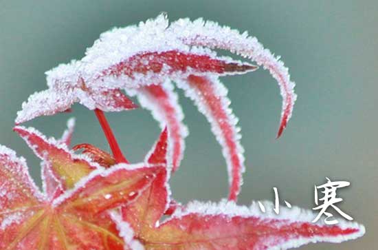 小寒祝福语简短发朋友圈祝词