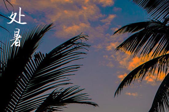 2024年处暑时间是什么时候 2024年处暑探病吉利吗