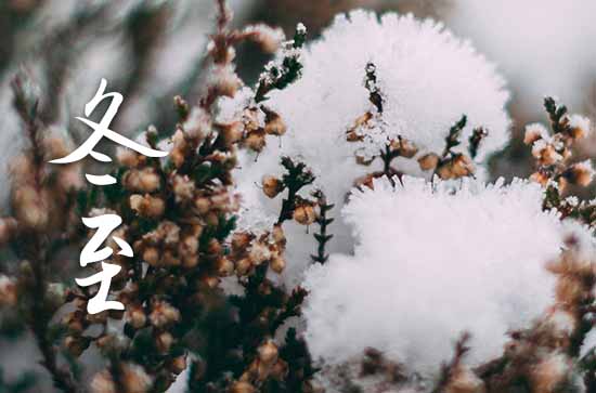 2024年冬至吃饺子吗 2024年冬至吃饺子吗