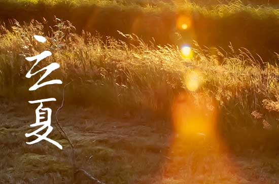 2024年立夏是什么时候时间 2024立夏这天可以求神拜佛吗