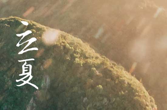 2024年什么时候立夏 2024年立夏适合放羊吗