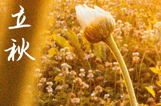 立秋是几月几号2024年 2024年立秋建造厕所行吗