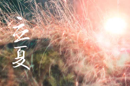 2024年立夏是什么时候 这天是什么星座星期几