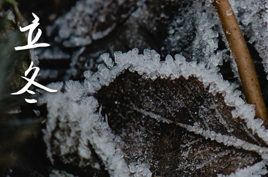 2023年立冬是什么时候 2023年立冬店铺开张合适吗 2023年立冬是什么时候 2023年立冬店铺开张合适吗