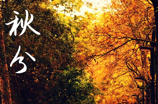 2024年农历几号秋分 2024年9月22日秋分这天宜买家具吗