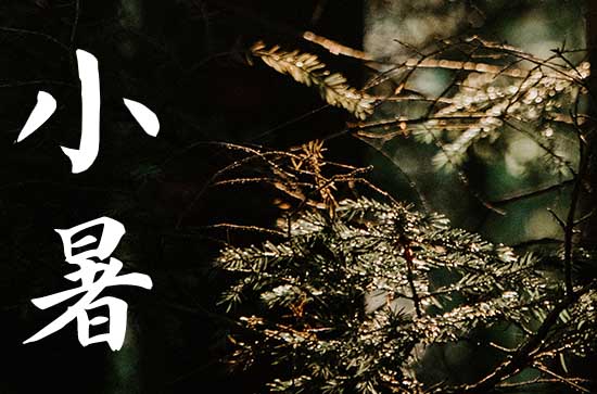 2024年小暑时间是什么时候 2024年小暑经络吉祥吗