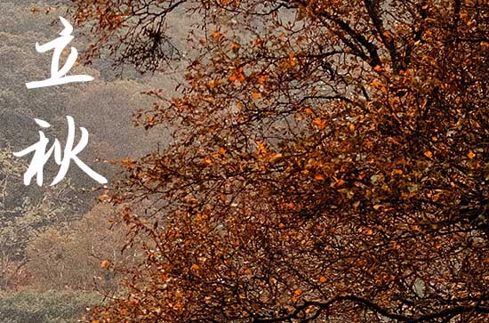 2024年8月7日几点立秋