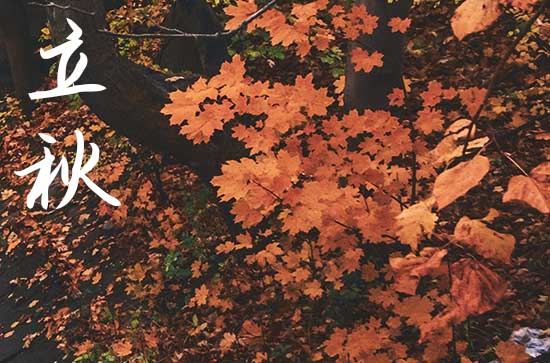 立秋发给朋友的早晨祝福语