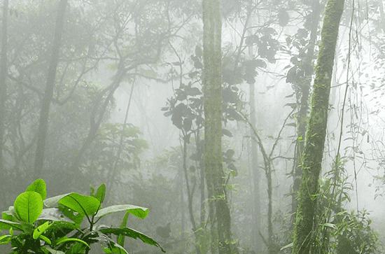 19日傍晚前后北京雷阵雨再来 明天大风局地伴扬沙                    