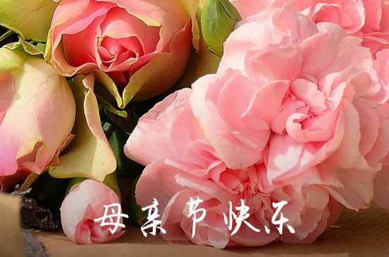最新母亲节送花祝福话语120句