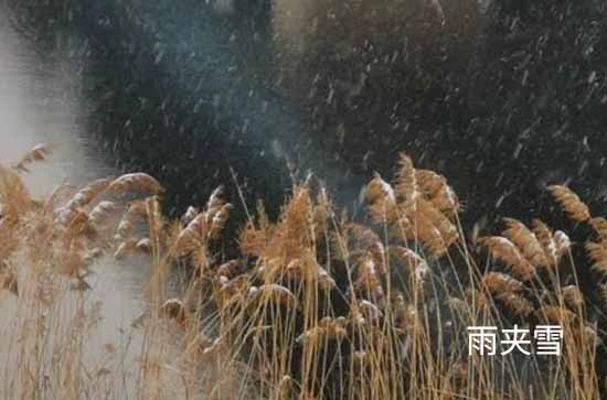 11月4日铁岭会下雨 今日雨夹雪转晴温度8℃~-1℃