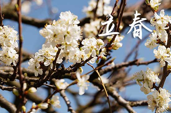 2024年什么时候立春几点几分 气候特点