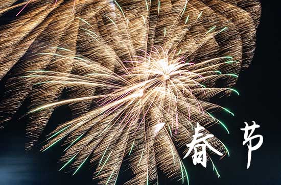 2024春节励志祝福语大全10篇