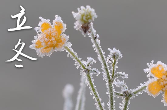 2023年立冬是多少号 2023立冬那天迁居好不好 2023年立冬是多少号 2023立冬那天迁居好不好