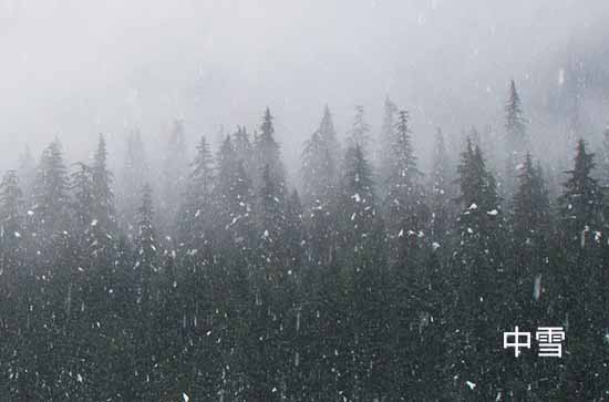 河南12月13日再迎大范围雨雪局地大暴雪 洛阳未来三天天气预报