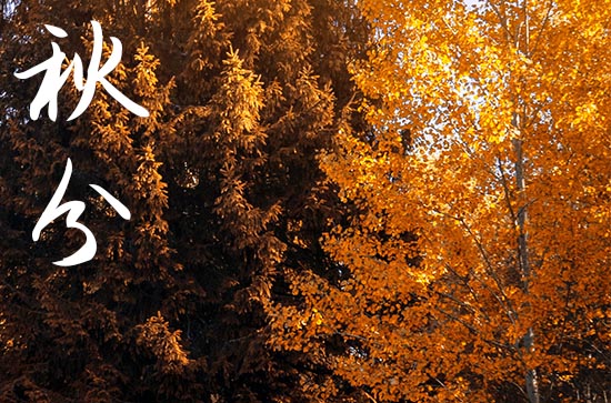 秋分时太阳照射的纬线是什么