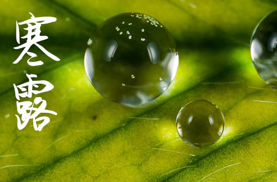 2024寒露是几月几号 有什么习俗